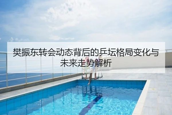 樊振东转会动态背后的乒坛格局变化与未来走势解析